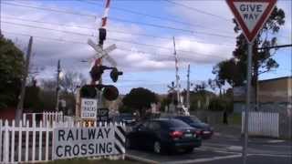 Australian Railway Crossings Compilation [upl. by Sivartal]