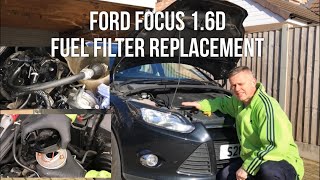 Fuel Filter Replacement Ford Focus 16 Diesel 2011 tdci [upl. by Mutua4]