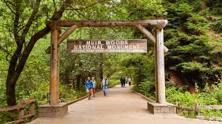 Muir Woods National Monument Tour from San Francisco [upl. by Winnick641]