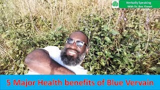 HERBALLY SPEAKING S3E4 5 Major benefits of Blue Vervain [upl. by Lertnom766]