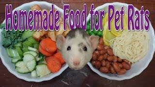 Pet Rat Diet  Requested [upl. by Leinnad]