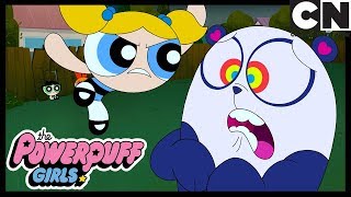 Powerpuff Girls  Everybody In Townsville Is Fighting  Cartoon Network [upl. by Breeze622]