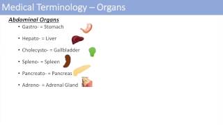 Medical Terminology  The Basics  Lesson 1 [upl. by Carlie254]