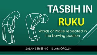 Salah Series 47  Learn to Recite Tasbih in Ruku  Subhana Robiyal Athweem  Madrasahcouk [upl. by Bond]