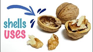 8 Walnut Shells Uses And Applications  How To Use Walnut Shells [upl. by Aserret811]