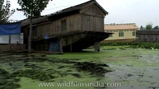 Fantastic houseboat living in Srinagar India [upl. by Sundstrom]