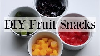 DIY Homemade Natural Fruit Snacks  Gummies  4 Recipes ♡ NaturallyThriftyMom [upl. by Gaspar]