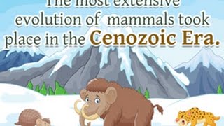 Cenozoic Era Life Forms and Important Facts [upl. by Aisekal]