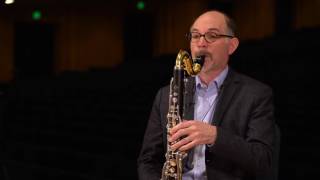 What does a bass clarinet sound like Ode to Joy [upl. by Frendel]