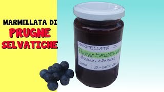 MARMELLATA PRUGNE SELVATICHE [upl. by Ioab]