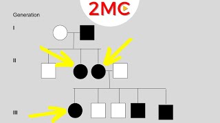 Inheritance Patterns  Reading Pedigree Charts [upl. by Clere901]