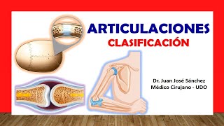 🥇 ARTICULACIONES Clasificación Fácil Rápida y Sencilla [upl. by Assyli15]