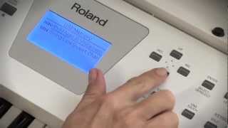 Roland BK3 Backing Keyboard Overview [upl. by Yreffej665]