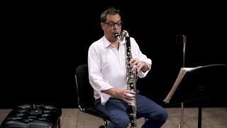 Instrument Bass Clarinet In Depth [upl. by Elleiad118]