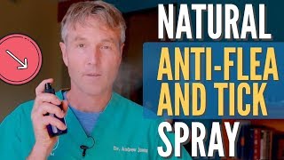 Natural Flea and Tick Spray for Dogs [upl. by Ahsienyt499]