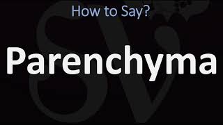 How to Pronounce Parenchyma CORRECTLY [upl. by Yrakcaz]