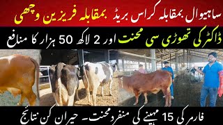 Sahiwal vs purebred vs crossbred cows II Millions profit to farmer II Dr Muzzammil Hassan [upl. by Nnyluqcaj223]