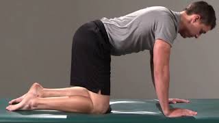 Rocking Backward  Spinal Alignment or Scapular Motion or Hip Stretch [upl. by Namijneb]