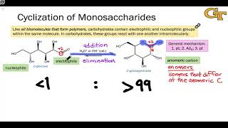 1604 Cyclization of Monosaccharides [upl. by Ojibbob728]