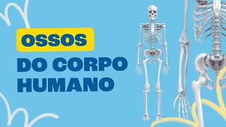 Ossos do Corpo Humano  Toda Matéria [upl. by Ketti717]