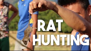 Rat Hunting in the Philippines Tasting Rats in Pangasinan [upl. by Deryl]