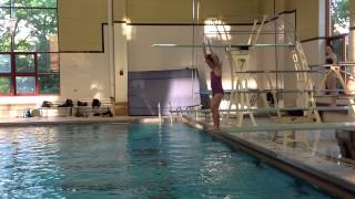 Teach a Flip for Springboard Diving [upl. by Suoirtemed]