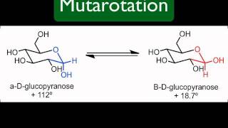 Mutarotation [upl. by Eniahs]