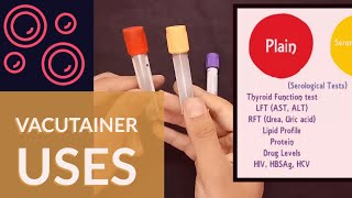 Blood Collection Vacutainer  Uses  Ateev Chandna [upl. by Ayalahs930]