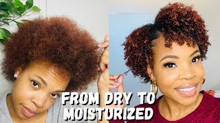 How to moisturize  DRY Natural Hair  Easy wash amp go beginner friendly  part 1 [upl. by Gilbertson]