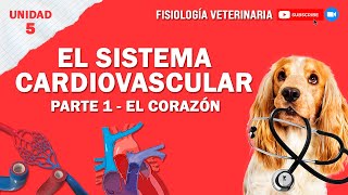 FISIO1UNIDAD5SISTEMACARDIOVASCULAR [upl. by Badger]