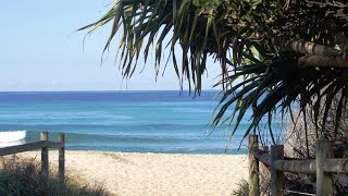 Sapphire Beach Holiday Park Coffs Harbour Australia [upl. by Joerg]