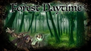 DampD Ambience  Forest Daytime [upl. by Devy]