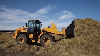 Cat® M Series Small Wheel Loaders Overview [upl. by Pantin]