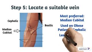 Phlebotomy How to Draw Blood [upl. by Jacinto]