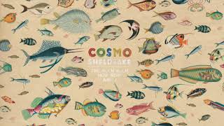 Cosmo Sheldrake  Birthday Suit Instrumental [upl. by Collum]