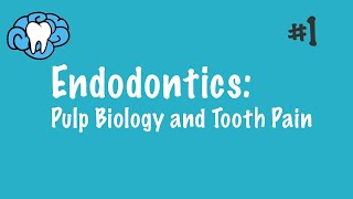 Endodontics  Pulp Biology and Tooth Pain  INBDE ADAT [upl. by Emoraj621]