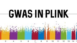 GWAS in Plink [upl. by Freddy]