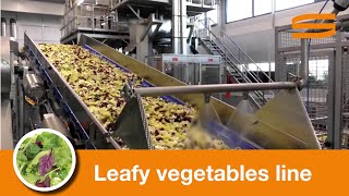 Leafy vegetables processing line  Sormac [upl. by Pallua]