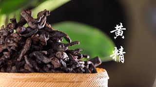 中国传统中药材：黄精 （Traditional Chinese herbal medicines：Polygonatum sibiricum Red） [upl. by Mirilla555]