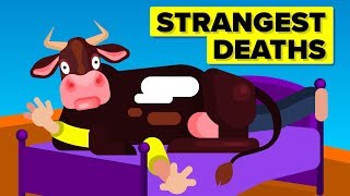 Strangest Ways People Died [upl. by Cleodell634]