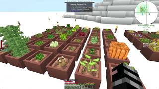 Minecraft Cuboid Outpost 1201  Day 16 [upl. by Elke515]