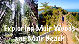 Exploring Muir Woods National Monument and Muir Beach Overlook on a Sunny Springtime 2021 [upl. by Mccandless]