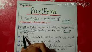 Phylum porifera characters and classification in Hindi [upl. by Raine]