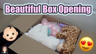 Beautiful Reborn Baby Box Opening Its Twins  Kelli Maple [upl. by Brianne]