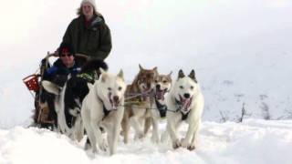 Dog Sledding in Norway [upl. by Puritan224]