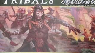 Northstar Miniatures Frostgrave Ghost Archipelago Tribals unboxed and built [upl. by Nadual873]