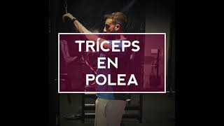 TRÍCEPS en polea alta  TÉCNICA CORRECTA [upl. by Ashwin]