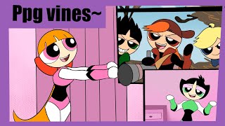 Powerpuffgirls vines [upl. by Panther]