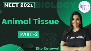 Animal Tissue  Part 2  NEET 2021  NEET Biology  Ritu Rattewal [upl. by Leonid436]