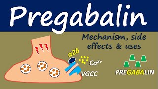 Pregabalin  Mechanism side effect and uses [upl. by Rosie]